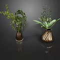 Brown Striped Vases With Green Hanging And Upright Plants On Dark Glossy Surface
