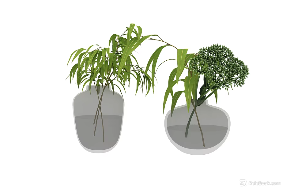 Two Transparent Vases With Long Green Leaves And Spherical Flower Blooms 3d model 
