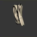 Medical Devices 3D Ear and Head Models with Different Triangle Meshes Detail Levels