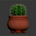 Green Cactus Plant With Yellow Spines In Red Spotted Three Legged Pot