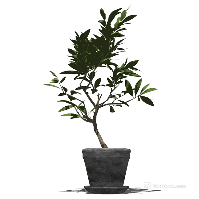 Decorative Bonsai Plant With Green Leaves And Curved Trunk In Gray Pot 3d model 