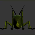 Realistic Green Grasshopper With Red Eyes Long Antennae And Slender Legs On Gray Background