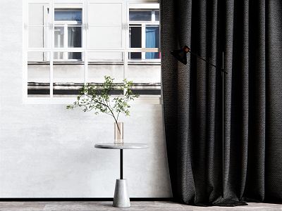 Modern Curtain Gauze Curtain Side Table Coffee Table Plant Vase Ornaments model