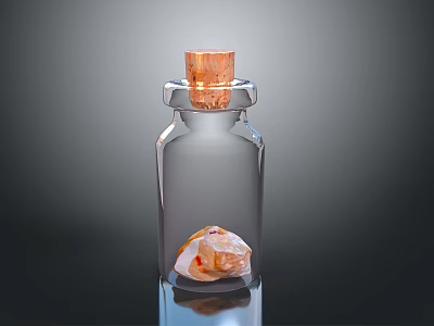 Transparent Glass Bottle With Cork Stopper And Seashell Inside For Daily Use 3d model