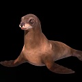 modern sea lion 3d model