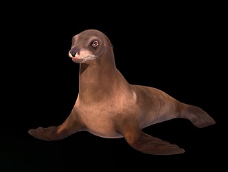 modern sea lion 3d model