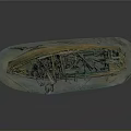 Old Weathered Wooden Boat Wreck with Decayed Structure on Green Base