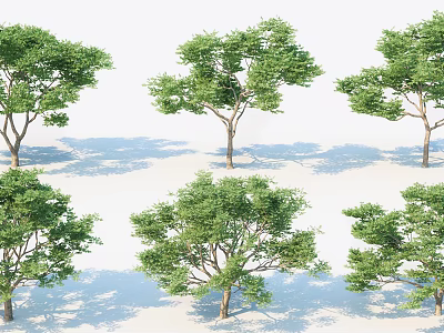 Modern Tree Garden Forest Tree 3d model Modern Tree Garden Forest Tree 3d model