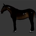 Realistic Gray Horse with White Hooves and White Forehead Mark on Black Background