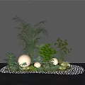 Lush Green Plants Arrangement With Palm Ferns Small Grasses Sphere Lights And Pebble Ground
