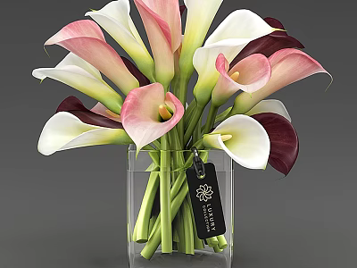 Pastel Pink White and Dark Purple Calla Lilies in Transparent Glass Vase with Decorative Tag 3d model