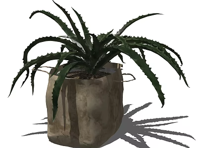 Decorative Potted Plant With Spiky Leaves In Burlap Sack With Handles 3d model