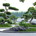 Karesansui Garden Design With Circular Layout Curved Pathways Green Trees And Black Stones