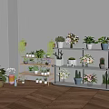 Multi tiered Plant Shelf Displaying Various Green Plants and Flowers by Window on Wooden Floor