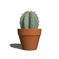 Small Green Spiky Cactus Potted Plant in Brown Terracotta Pot