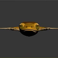 Orange Frog Lying On Shiny Smooth Surface With Yellow Eyes And Clear Reflection