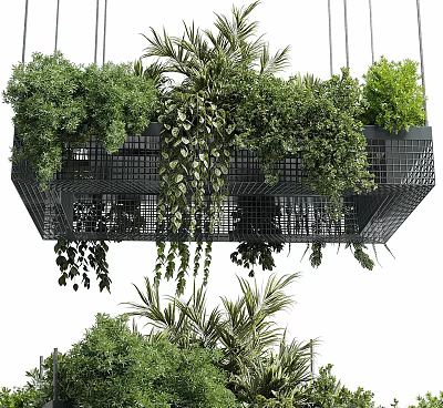 Hanging Black Grid Planter with Multiple Green Potted Plants Trailing Vines and Upright Greenery 3d model