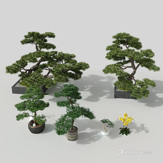 Hanging Basket Green Plants With Lush Foliage And Various Potted Decorative Arrangements 3d model 