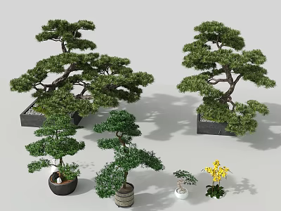 Hanging Basket Green Plants With Lush Foliage And Various Potted Decorative Arrangements 3d model