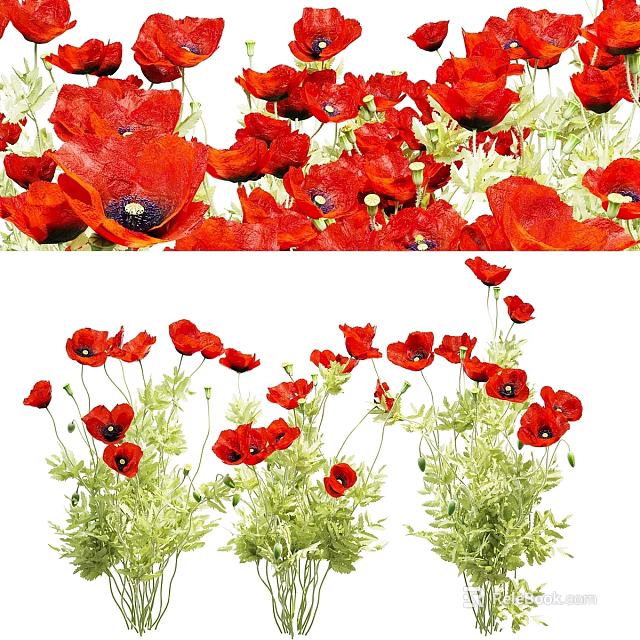 Decorative Ornament Set with Red Poppy Flowers for Artistic Home Decor 3d model 