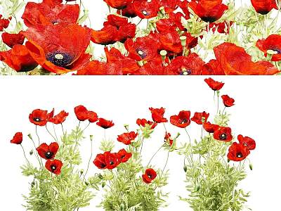 Decorative Ornament Set with Red Poppy Flowers for Artistic Home Decor 3d model