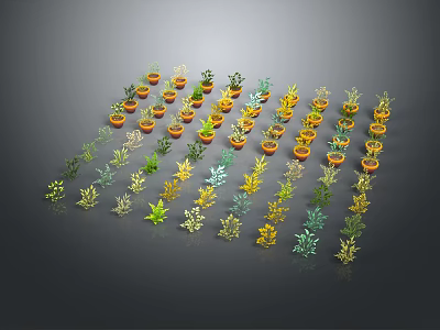 Cartoon Scene Featuring Colorful Potted Plants Arranged In Various Patterns 3d model