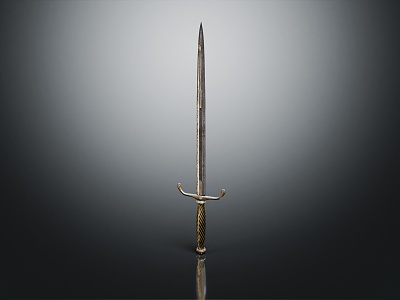 Modern Sword Officer Sword Long Sword 3d model