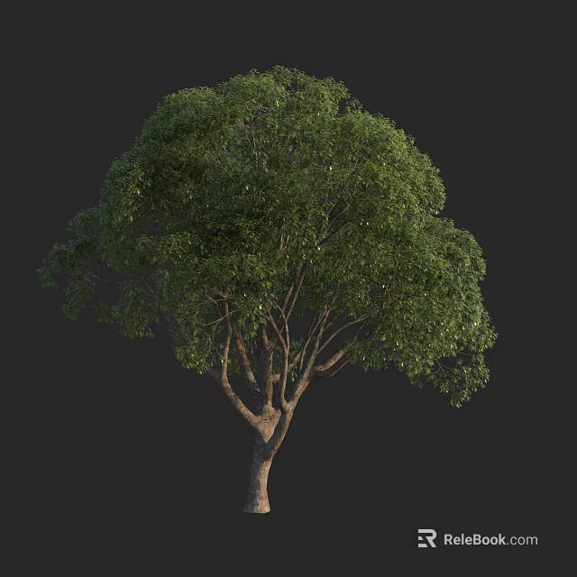 Lush Green Arbor with Dense Foliage and Strong Branch Structure 3d model 