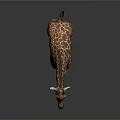 Brown And White Spotted Giraffe With Long Neck Standing Against Dark Background