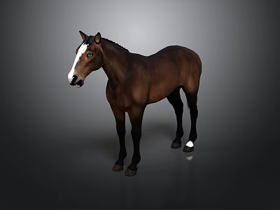 Brown Horse With White Face And White Hooves Standing On Grey Background 3d model