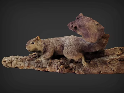 Reptile Lizard With Scaled Skin Resting On Weathered Wooden Log 3d model