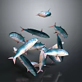 School of Silver Blue Fish Swimming in Dynamic Arrangement on Dark Background