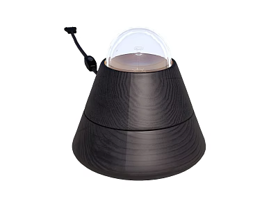 Modern Wooden Texture Table Lamp With Transparent Dome And Black Cable 3d model