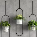 Hanging Potted Plants With Black Metal Oval Frames On Gray Wall Decor 3d model
