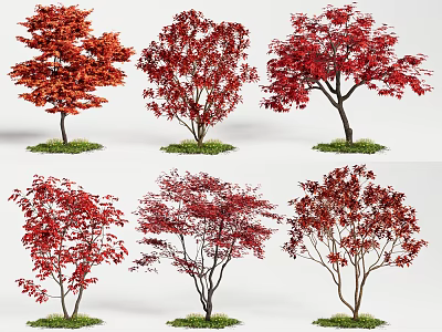 Vibrant Red Leaf Trees with Various Shapes for Landscape Design Projects 3d model