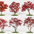 Vibrant Red Leaf Trees with Various Shapes for Landscape Design Projects 3d model