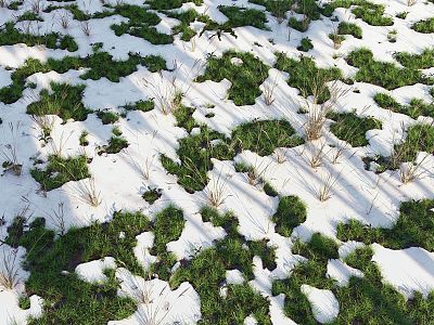 Lawn grass snow turf 3d model