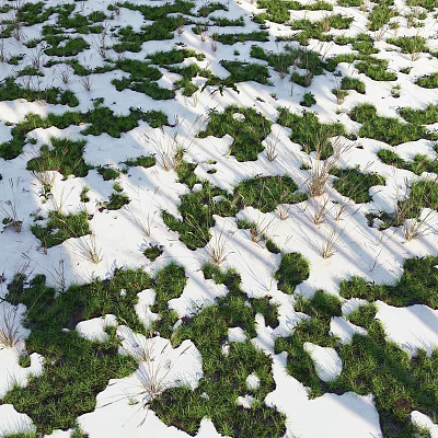 Green Grass and Dry Weeds Covered with Snow in Winter Outdoor Natural Area 3d model