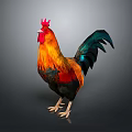 Colorful Rooster With Red Comb Orange Body And Vibrant Tail Feathers On Dark Background