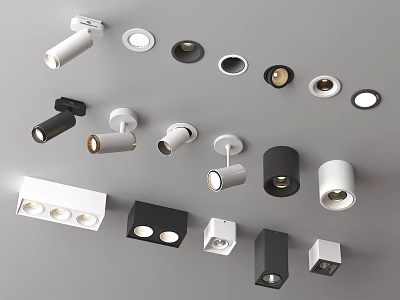 Various Styles Downlights And Spotlights With White Black Round Square Designs 3d model