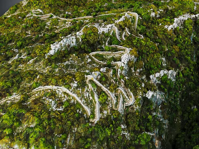 Scenic Garden Landscape With Winding White Paths Through Lush Green Vegetation And White Rocks 3d model
