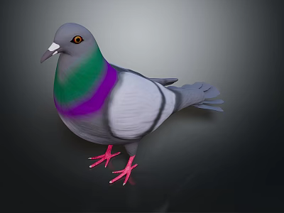 Gray Pigeon With Green And Purple Neck And Red Feet On Dark Background 3d model