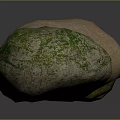 Natural Decorative Stones with Brown Beige Green Irregular Shapes on Dark Surface