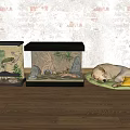 Reptile Glass Terrariums Indoor Habitat Setup With Natural Decor On Wooden Floor
