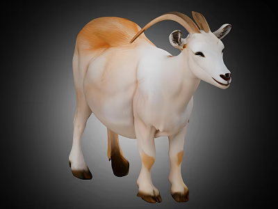 White and Tan Goat with Curved Horns in Realistic Standing Pose 3d model