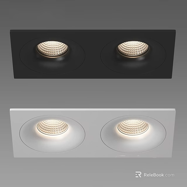 Black and White Recessed Spotlights with Two Lights for Indoor Ceiling Lighting 3d model 