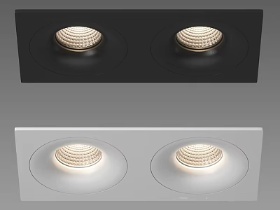 Black and White Recessed Spotlights with Two Lights for Indoor Ceiling Lighting 3d model