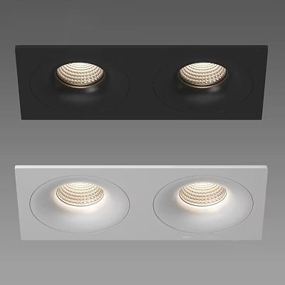 Black and White Recessed Spotlights with Two Lights for Indoor Ceiling Lighting 3d model