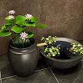 Courtyard Garden Design With Ceramic Pot Lotus Flowers Lily Pads And Goldfish Basin