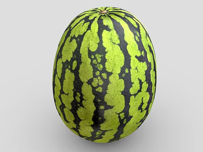 Fresh Ripe Watermelon With Green And Black Stripes On Gray Background 3d model